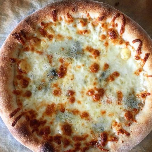 Dört peynirli pizza